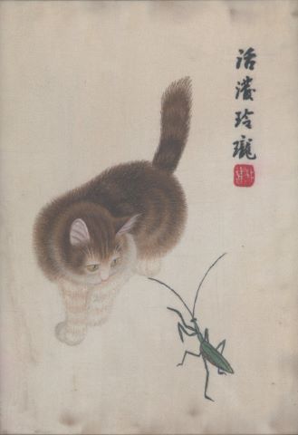 Chine Chat et sauterelle