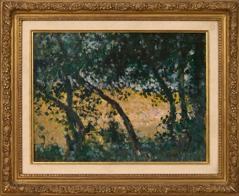 Sous-bois