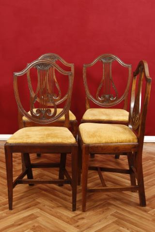 Suite de 4 chaises lyre