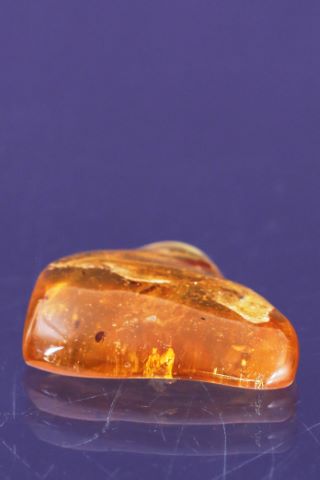 Ambre jeune (copal)