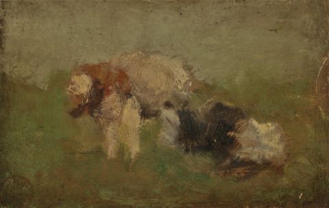 Vaches