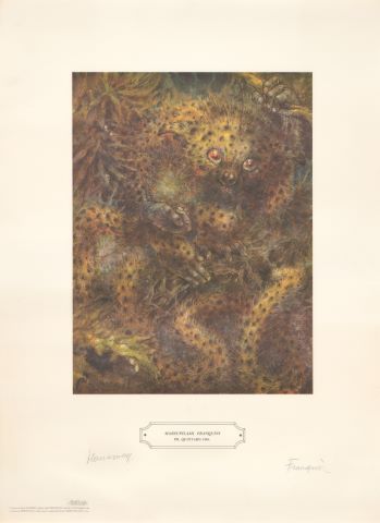 Marsupilami Franquini