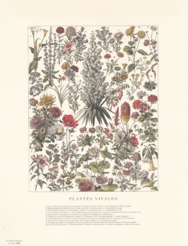 Deux planches