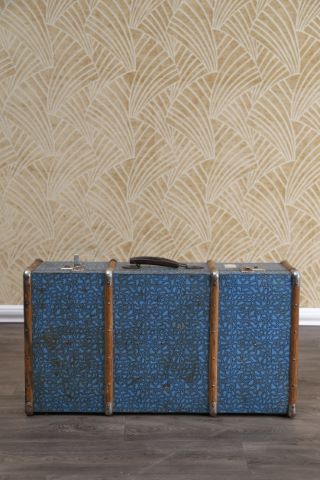 Valise