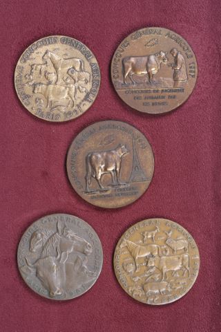 20 médailles du Concours Général Agricole