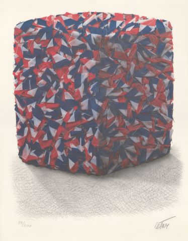 Compression de drapeaux français en commémoration du 200e anniversaire de…