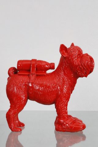 Cloned “Brabançonne” Griffon Bruxellois with Petbottle