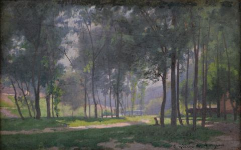 Paysage de forêt