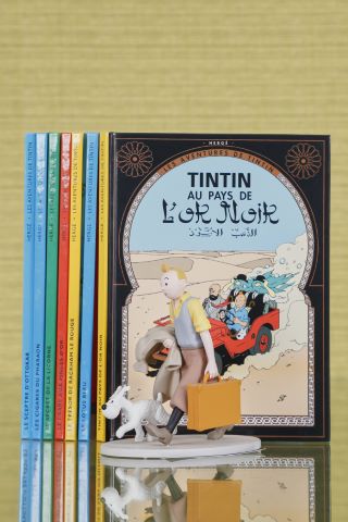 Tintin reporter
