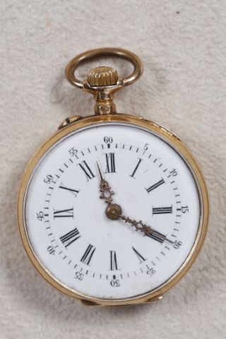 Montre de col