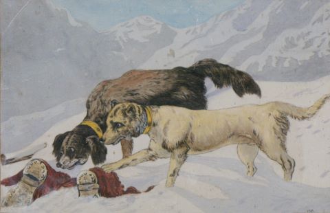 Les Chiens sauveteurs