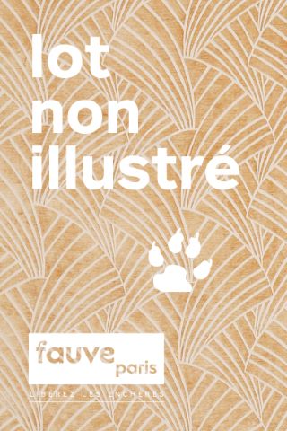 2 paires d’appliques