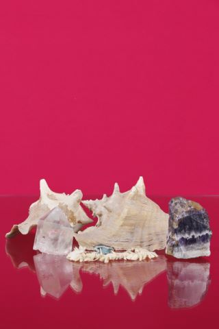 Ensemble de pierres dures et coquillages