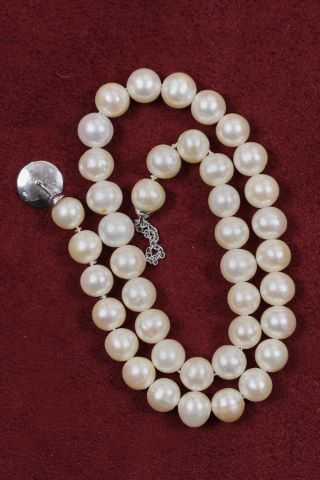 Collier ras de cou