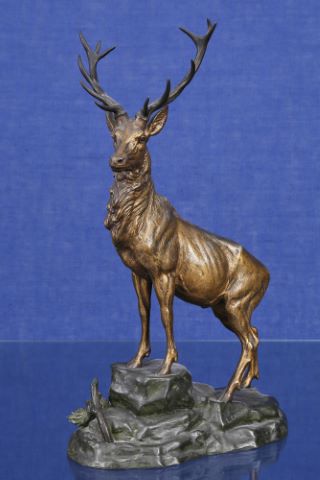 Cerf