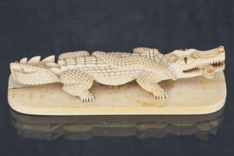 Crocodile dévorant un serpent