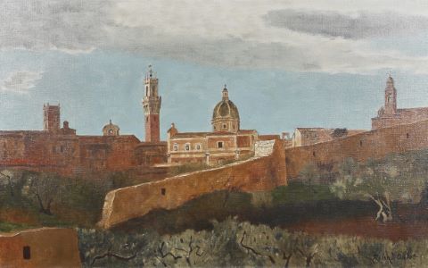 Sienne vue des remparts