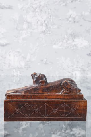 Dans le goût de Marcel Sandoz Plumier singe...
