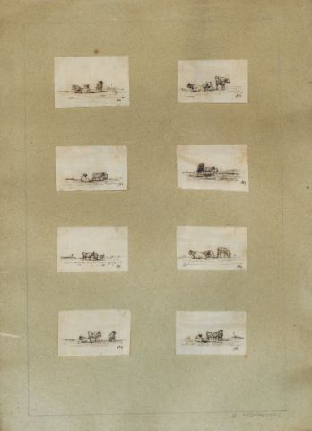 Études de vache [8 œuvres]