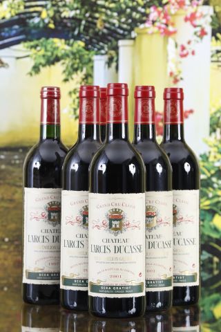 Château Larcis Ducasse, Saint-Émilion 6 bouteilles