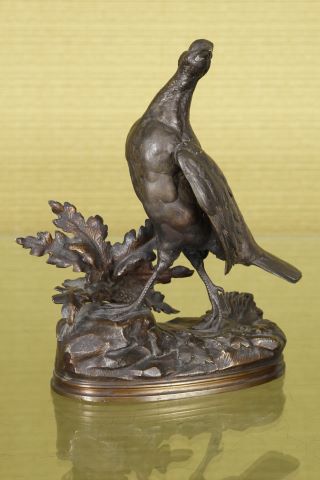 Jules Moigniez (1835-1894) Poule faisane
