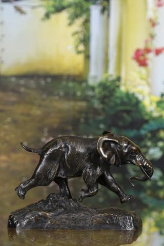 Éléphant de Senegal
