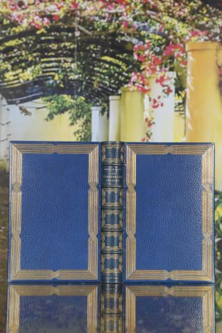 Une ténébreuse affaire