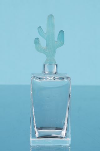 Carafe cactus