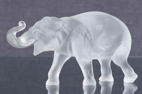 Éléphant d’Afrique