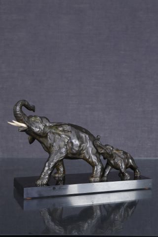 Éléphant et son éléphanteau