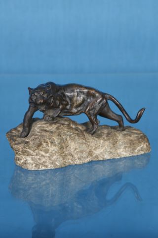 Panthère sur un rocher
