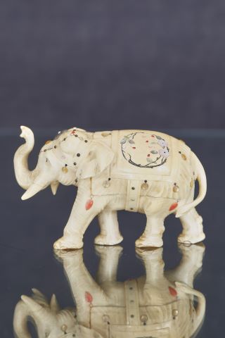 Japon Éléphant