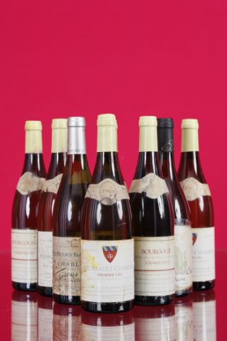 Ensemble de 8 bouteilles