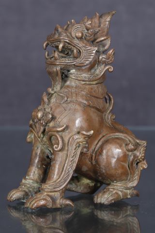Chien de Fô