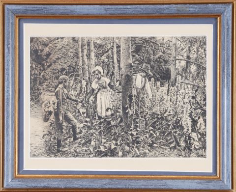 Enfants dans les bois