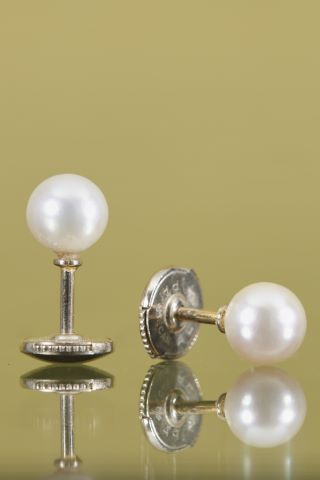 Paire de boutons d’oreilles