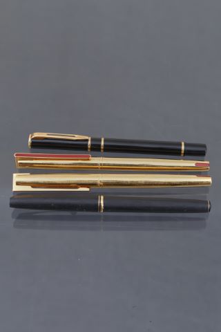 Waterman 2 stylos à plume modèle DG
