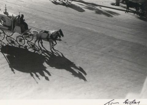Tim Gidal (1909-1996) Alexandria