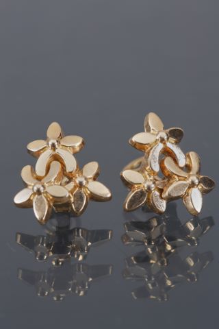Paire de clips d’oreilles