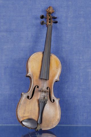 Violon