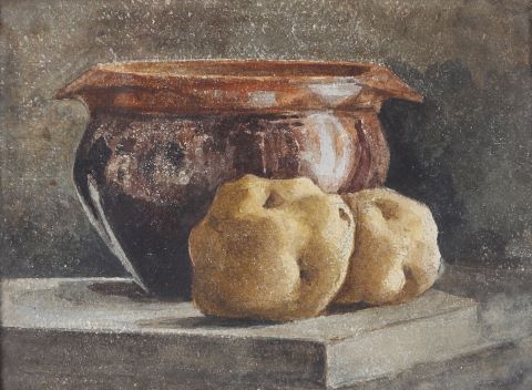 Nature morte aux coings