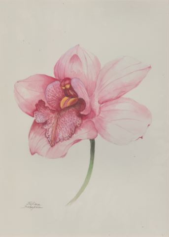 Juliana Seraphim (1934-2005) Étude de fleurs