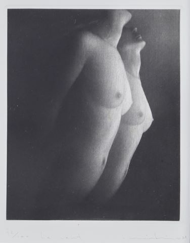 Mikio Watanabe (né en 1954) Le Vent