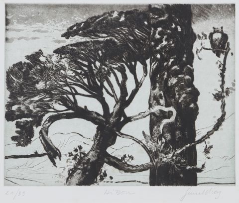 Gérard Diaz (né en 1938) Hibou