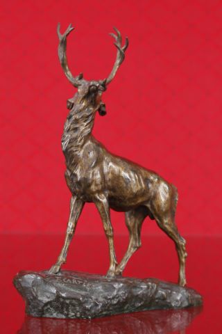 Cerf