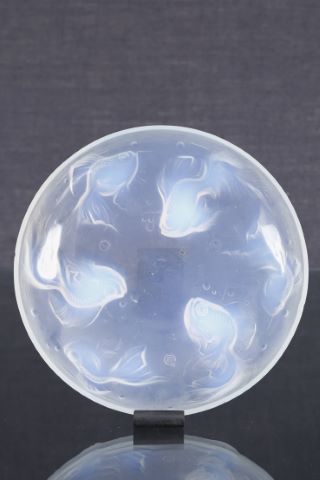 Coupe aux poissons