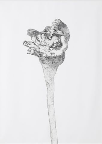 Patrice Valota (né en 1950) Cœur de fleur III