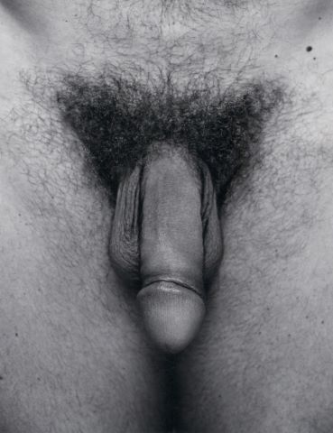 Rocco Siffredi - triptyque