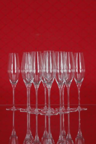 11 verres à vin vin mousseux, collection Fuga-lisse