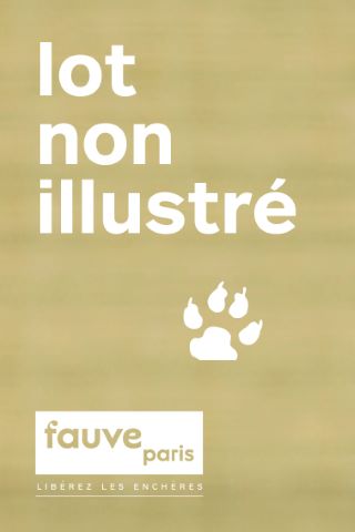 Journal de Tintin - 49 recueils